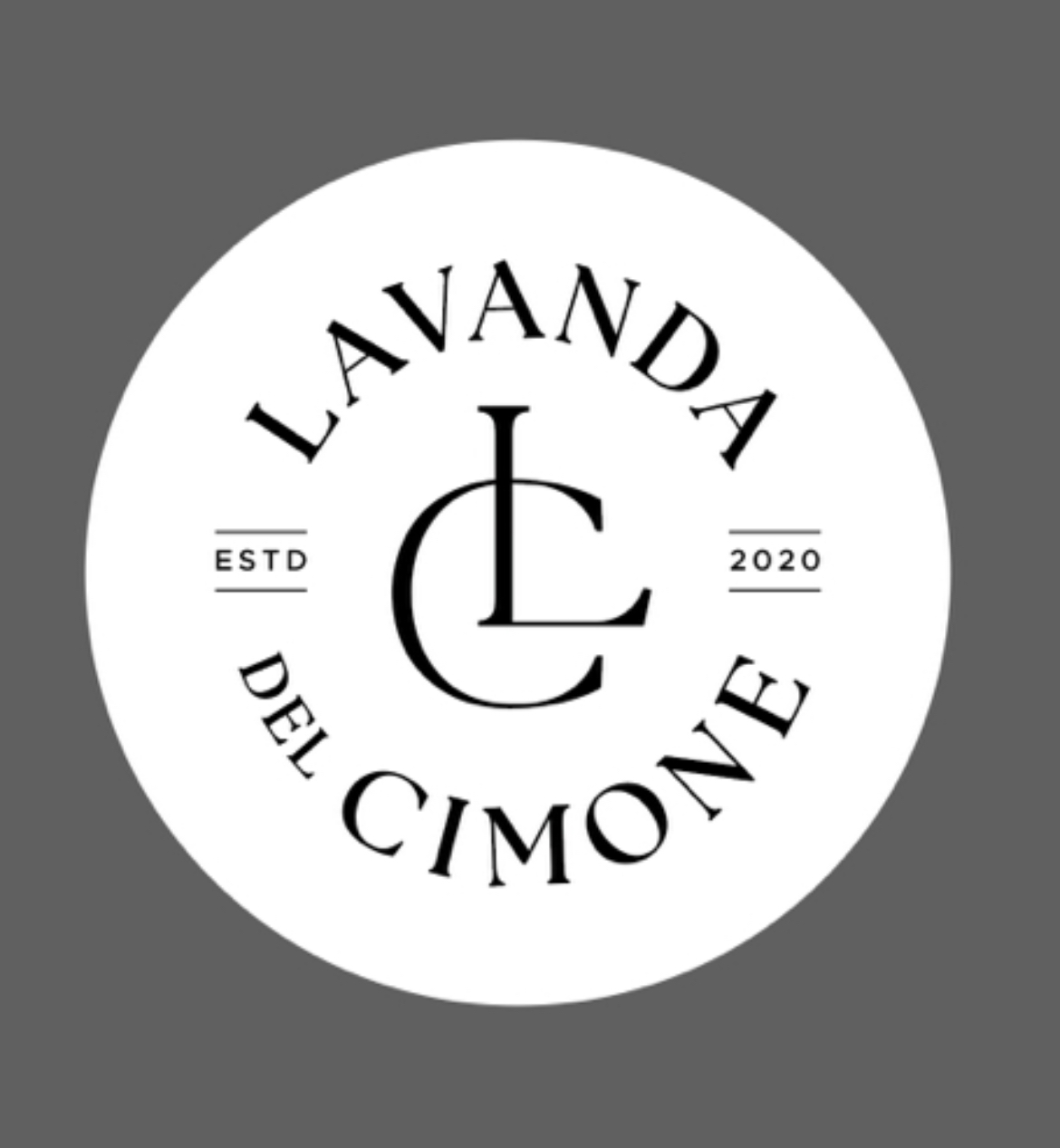 Lavanda Del Cimone Di Iushina Liudmila