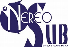 Diving Center Service Nereo Sub Di Catania Salvatore & C. S.A.S.