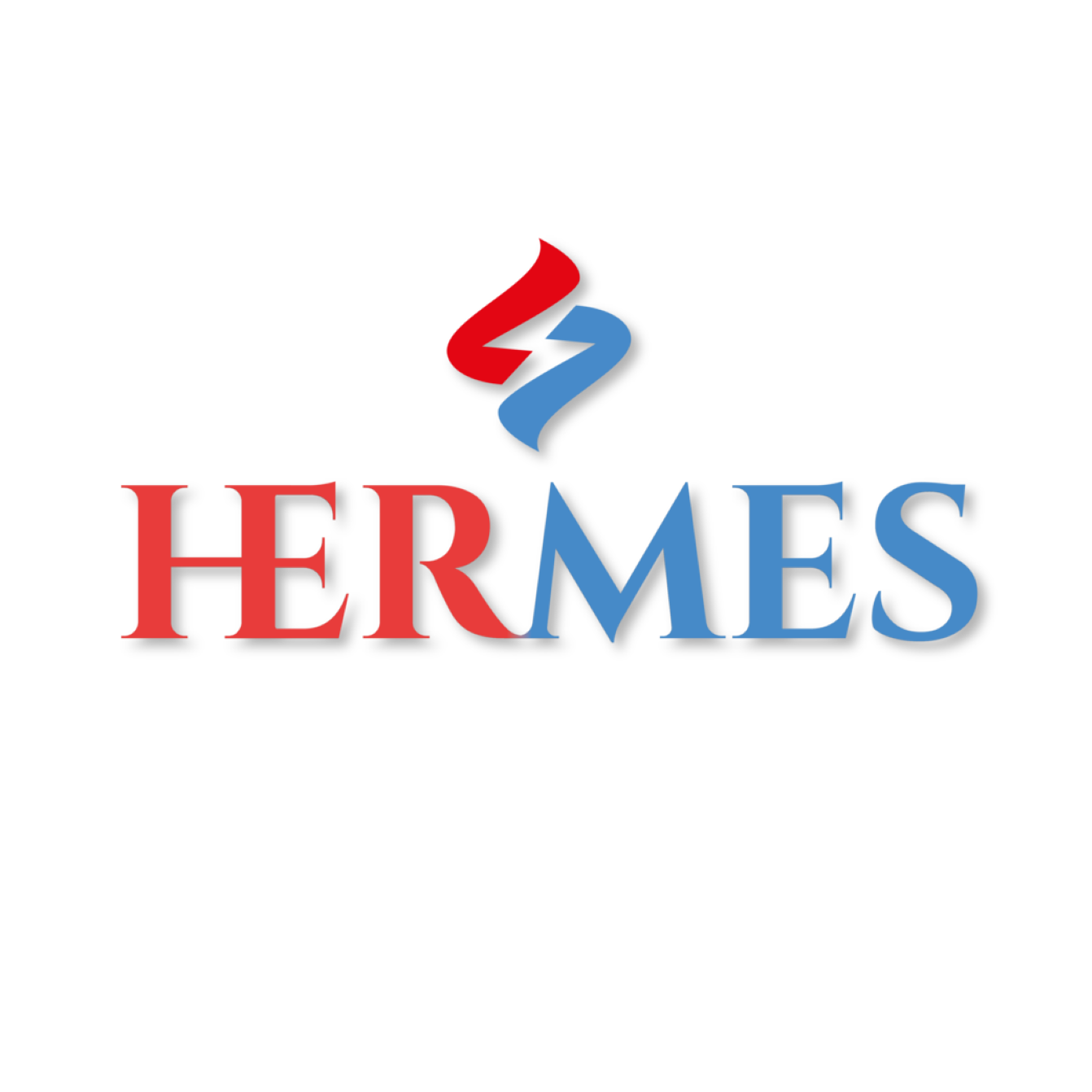 HERMES SRL