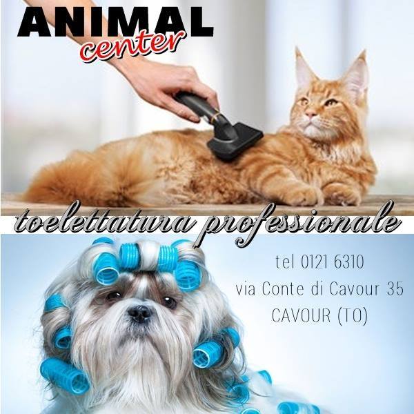 ANIMAL CENTER DI RIZZO CARLO
