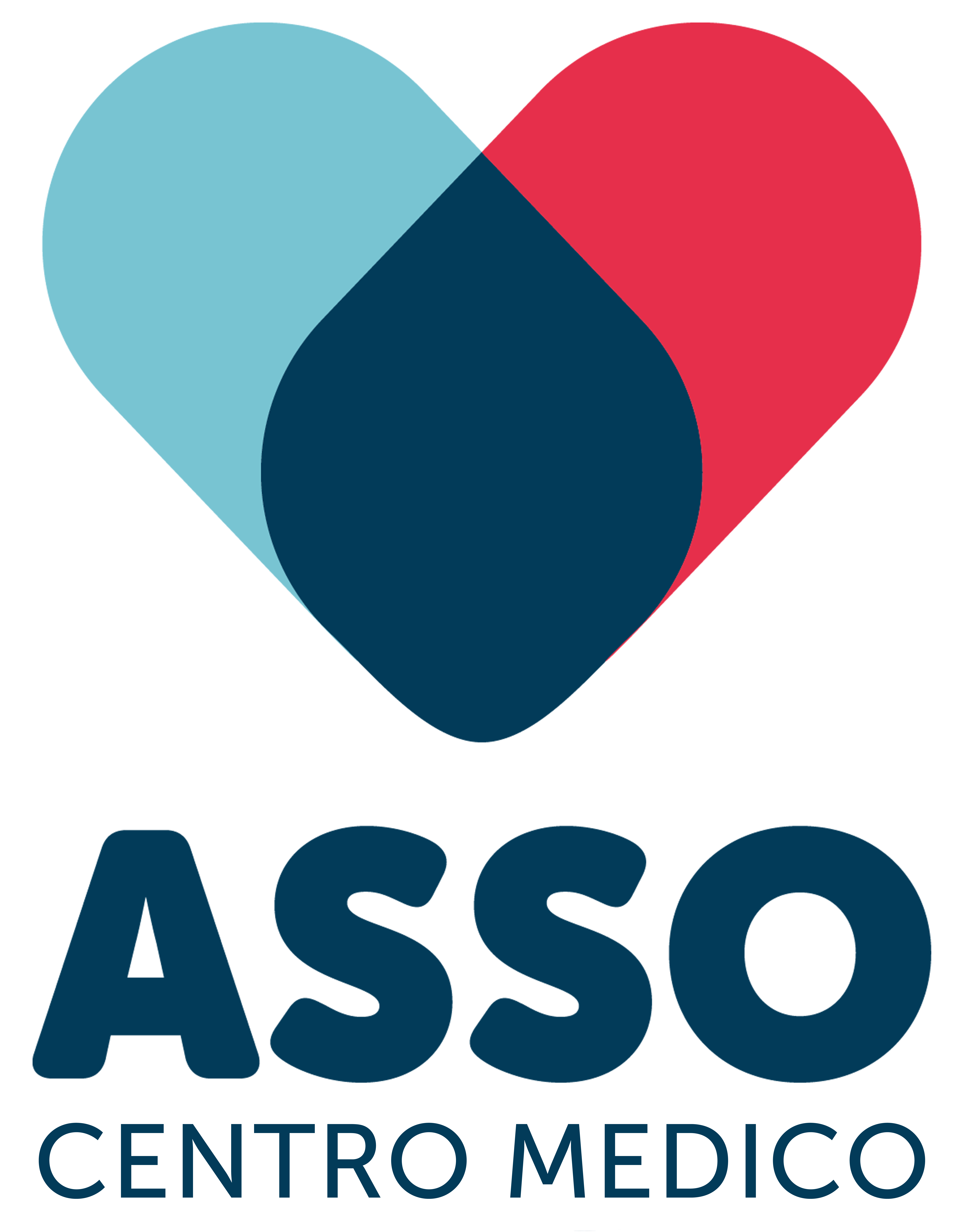 ASSO MULTISERVIZI SRL
