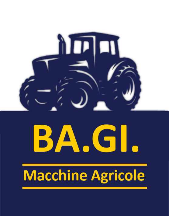 BA.GI. S.R.L.