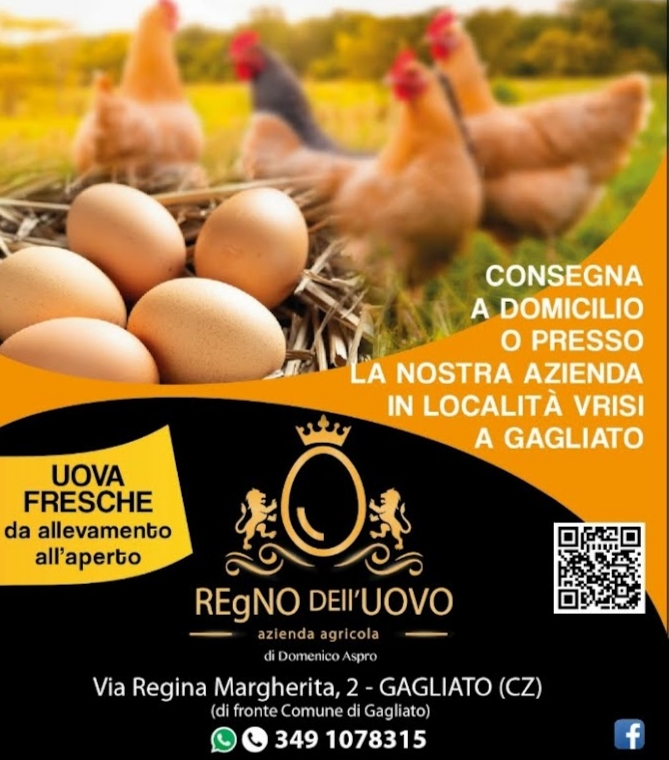 AZIENDA AGRICOLA REGNO DELLUOVO DI DOMENICO ASPRO