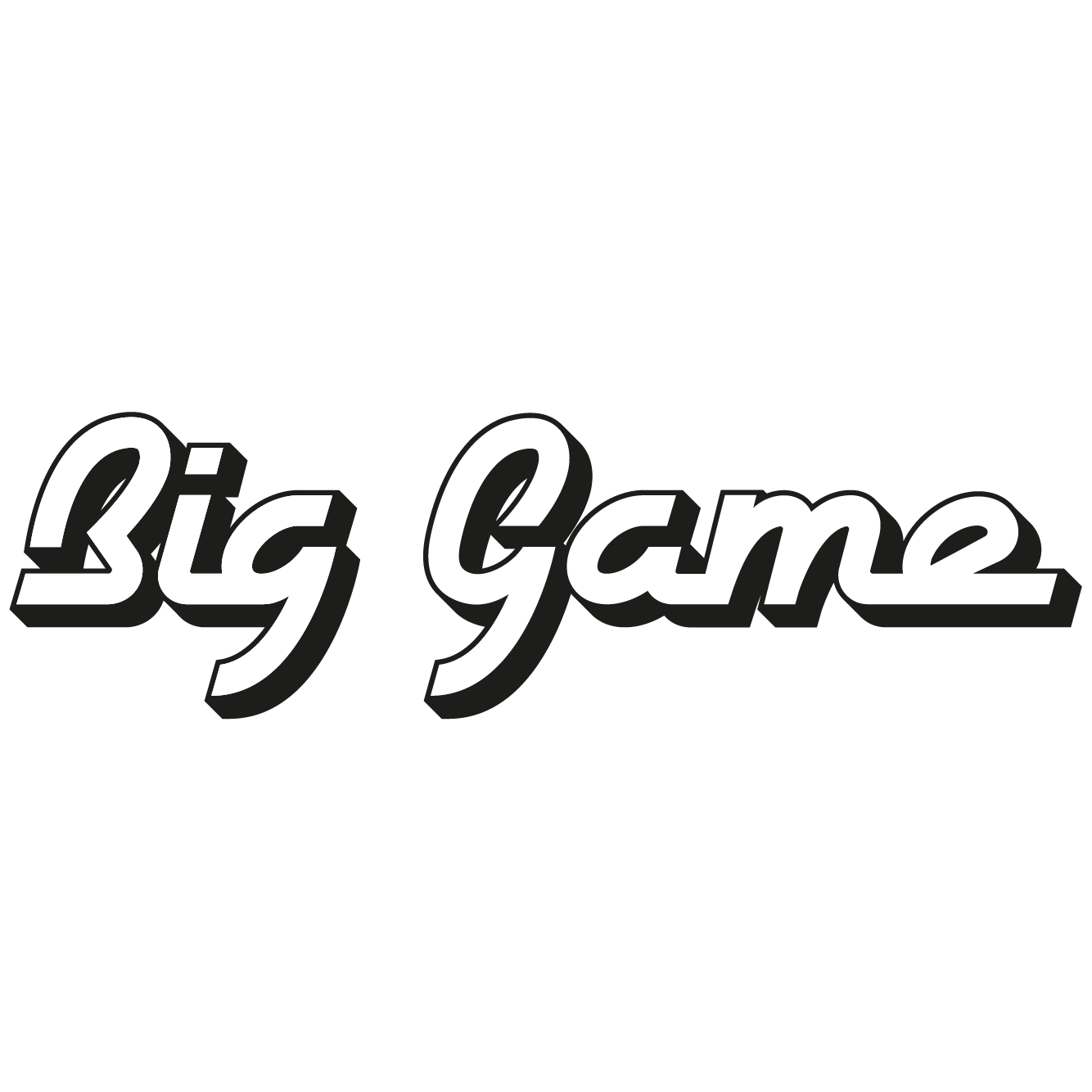 BIG GAME STORE S.R.L.