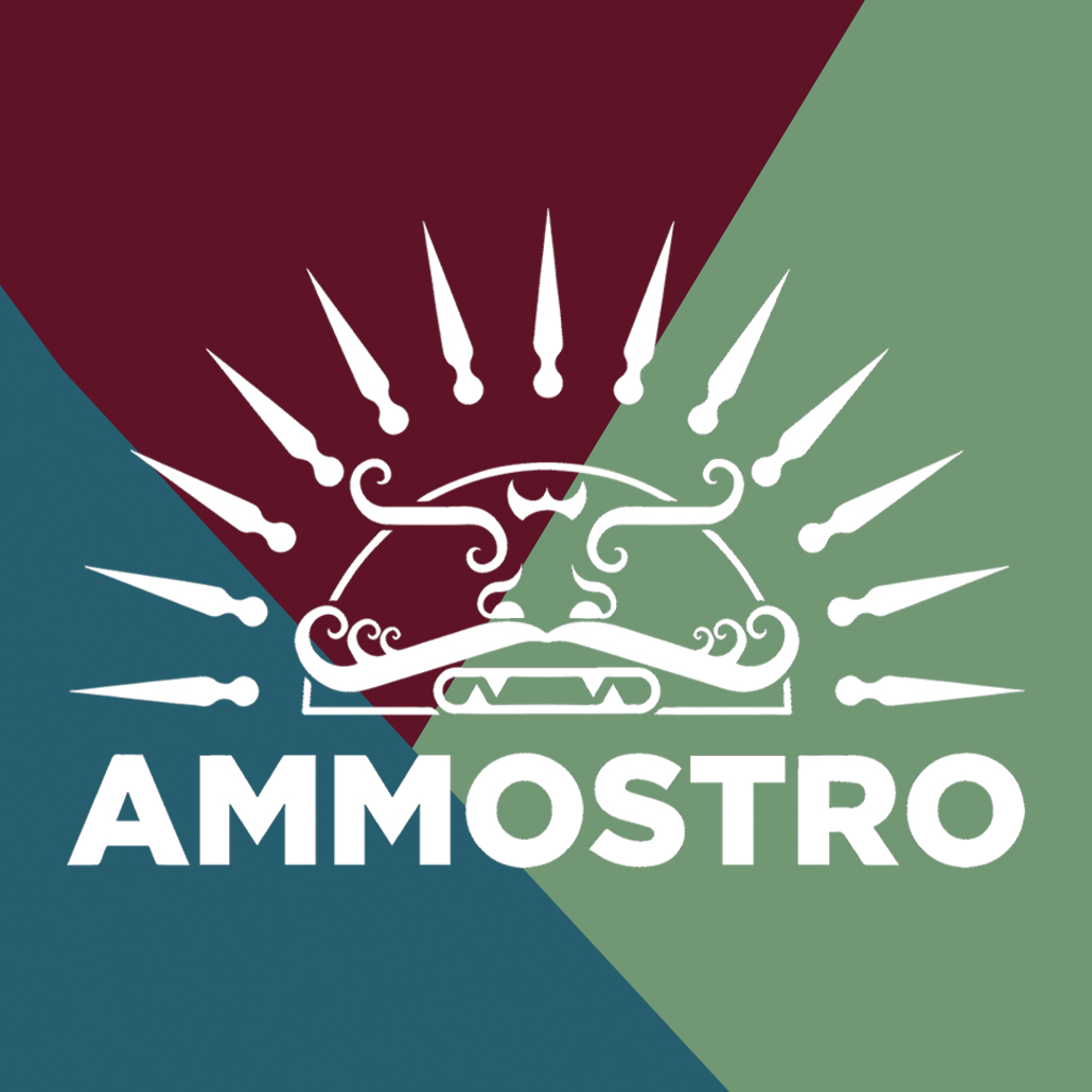 Associazione di Promozione Sociale AMMOSTRO
