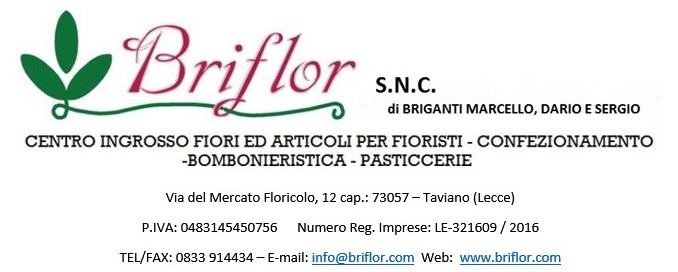 BRIFLOR S.N.C. DI BRIGANTI MARCELLO DARIO E SERGIO