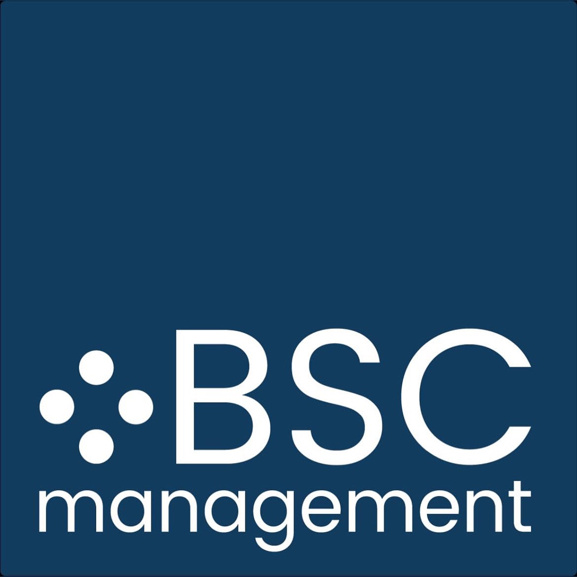 BSC MANAGEMENT S.R.L.