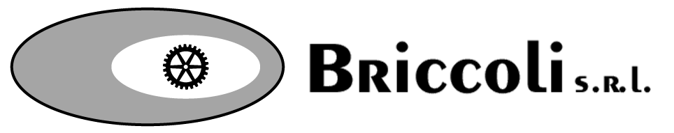 BRICCOLI S.R.L.