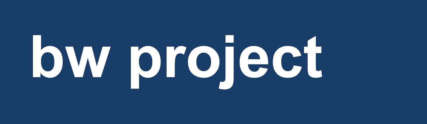 BW PROJECT SRL - BW PROJECT GMBH