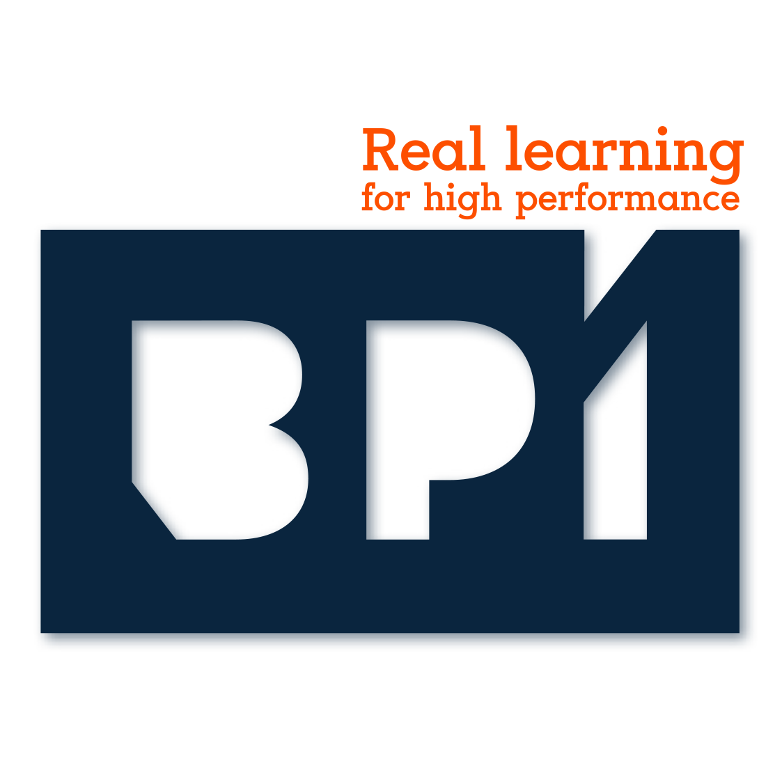 BUSINESS PERFORMANCE INSTITUTE S.R.L.