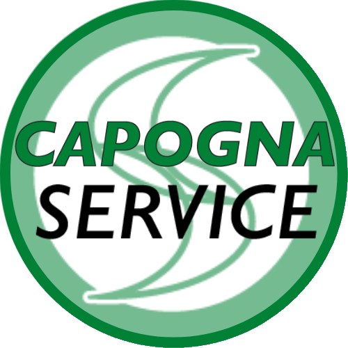 CAPOGNA SERVICE S.R.L. SEMPLIFICATA
