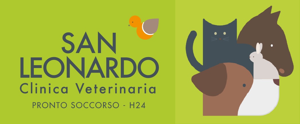 CLINICA VETERINARIA SAN LEONARDO SRL S.R.L.