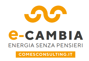 E-CAMBIA COMES CONSULTING