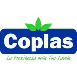 COPLAS DI FLORE SALVATORE E C. S.N.C.