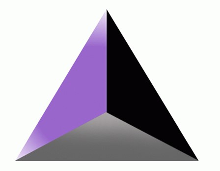 CONSUL CAPITAL IMMOBILIARE S.R.L.