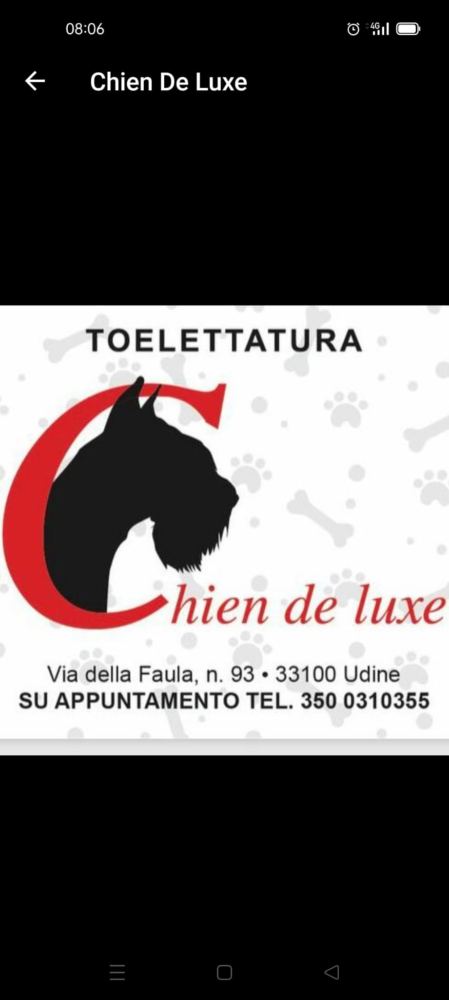 COZZOLINO LUISA
