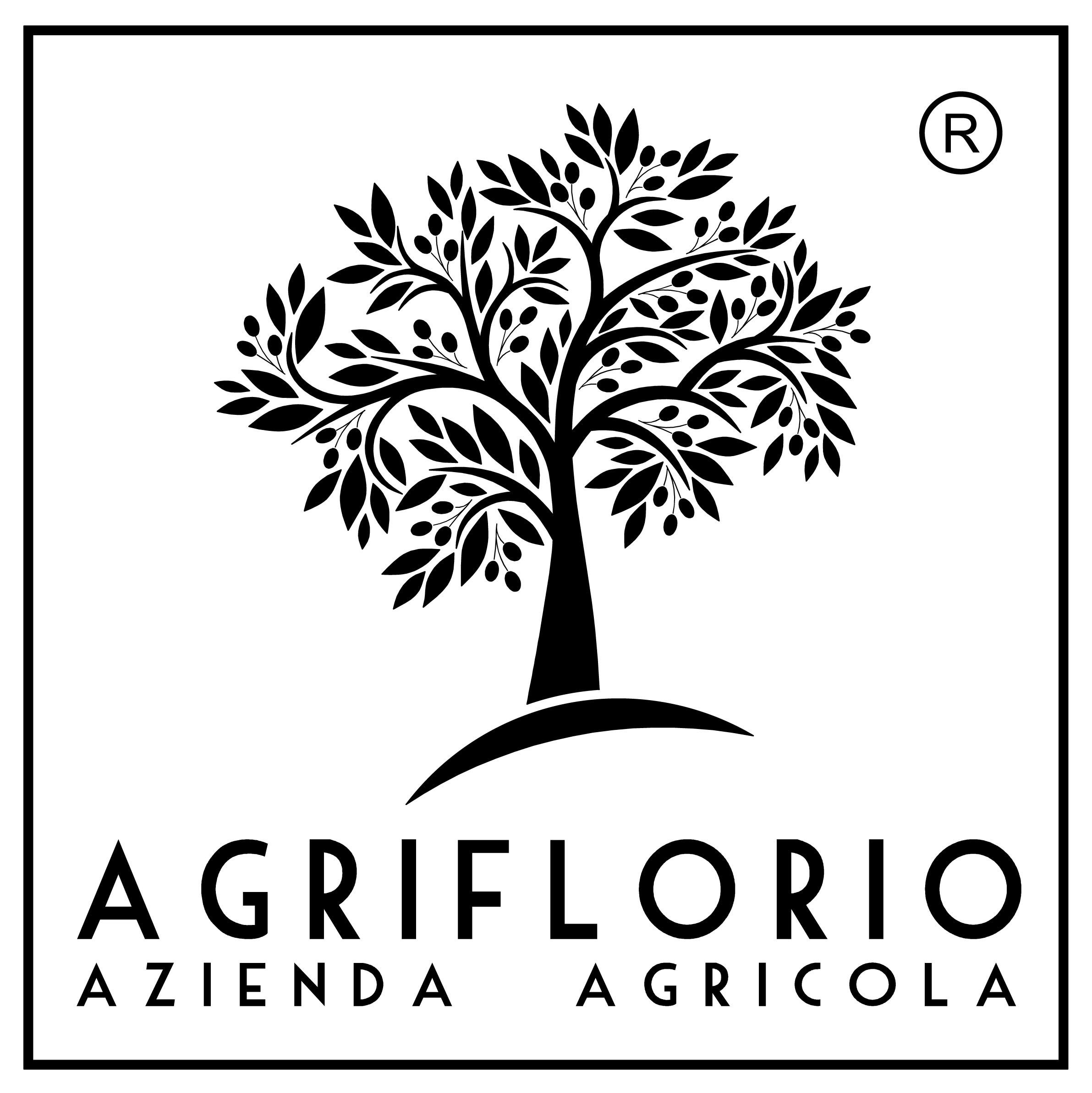 DI FLORIO ALBERTO