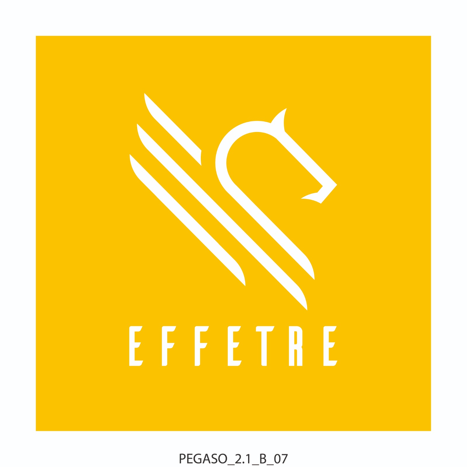 EFFETRE S.R.L.