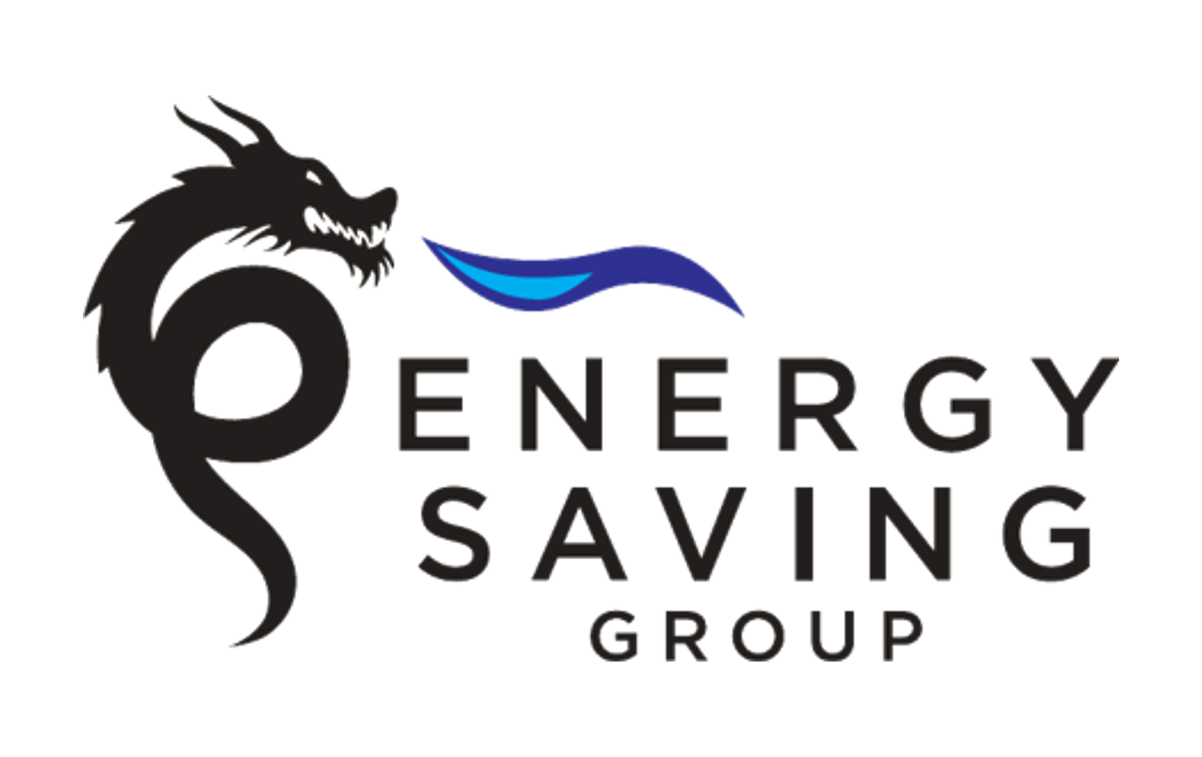 ENERGY SAVING GROUP S.R.L.