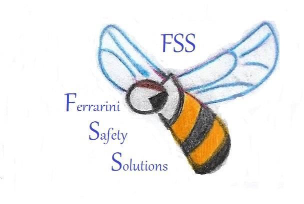 FERRARINI SAFETY SOLUTIONS S.R.L.