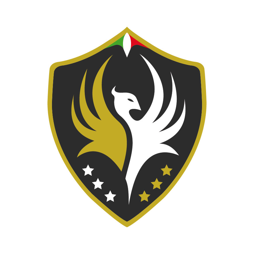 FENICE SECURITY SERVICES S.R.L.