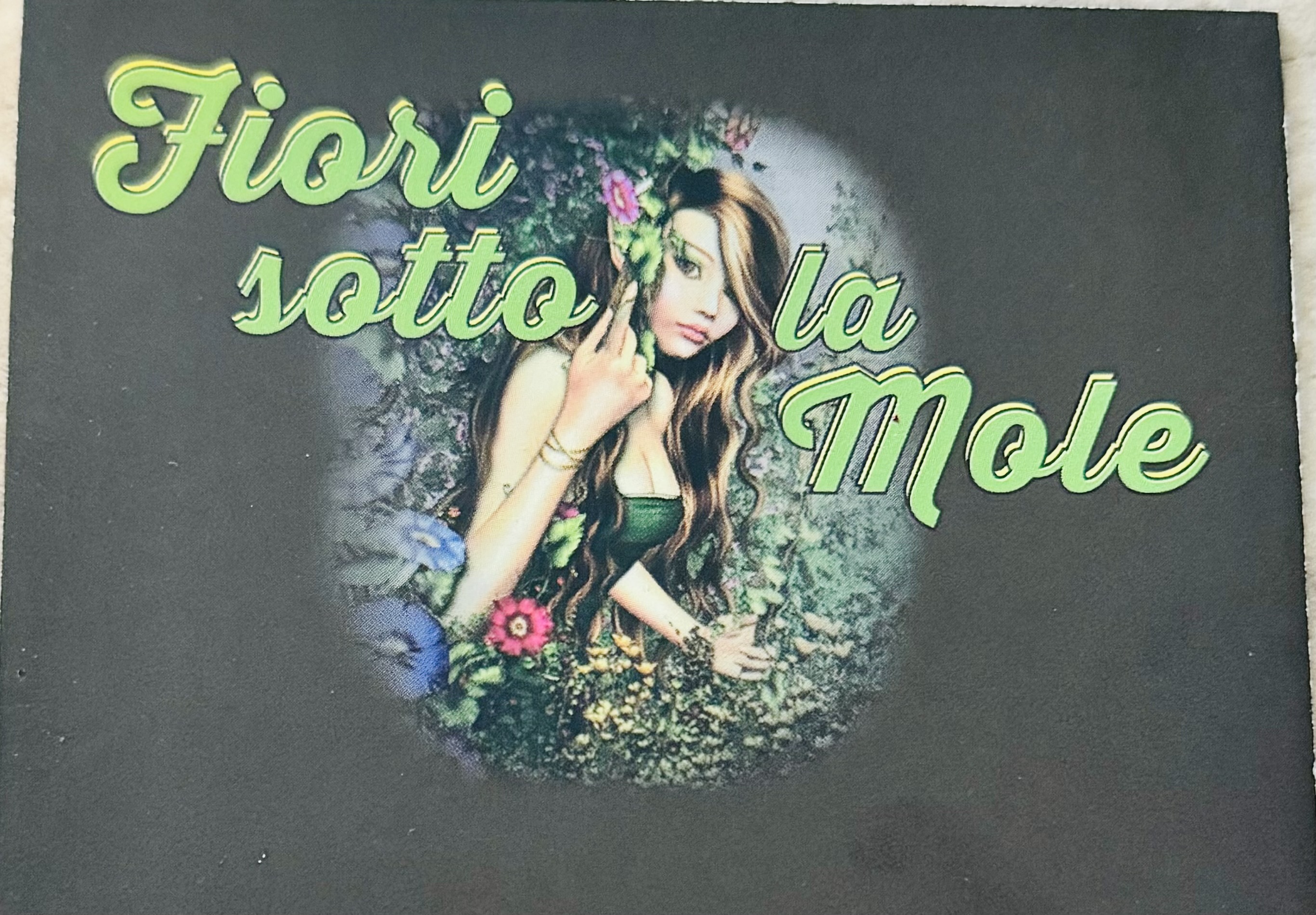 FIORI SOTTO LA MOLE DI PALMERI ANNA