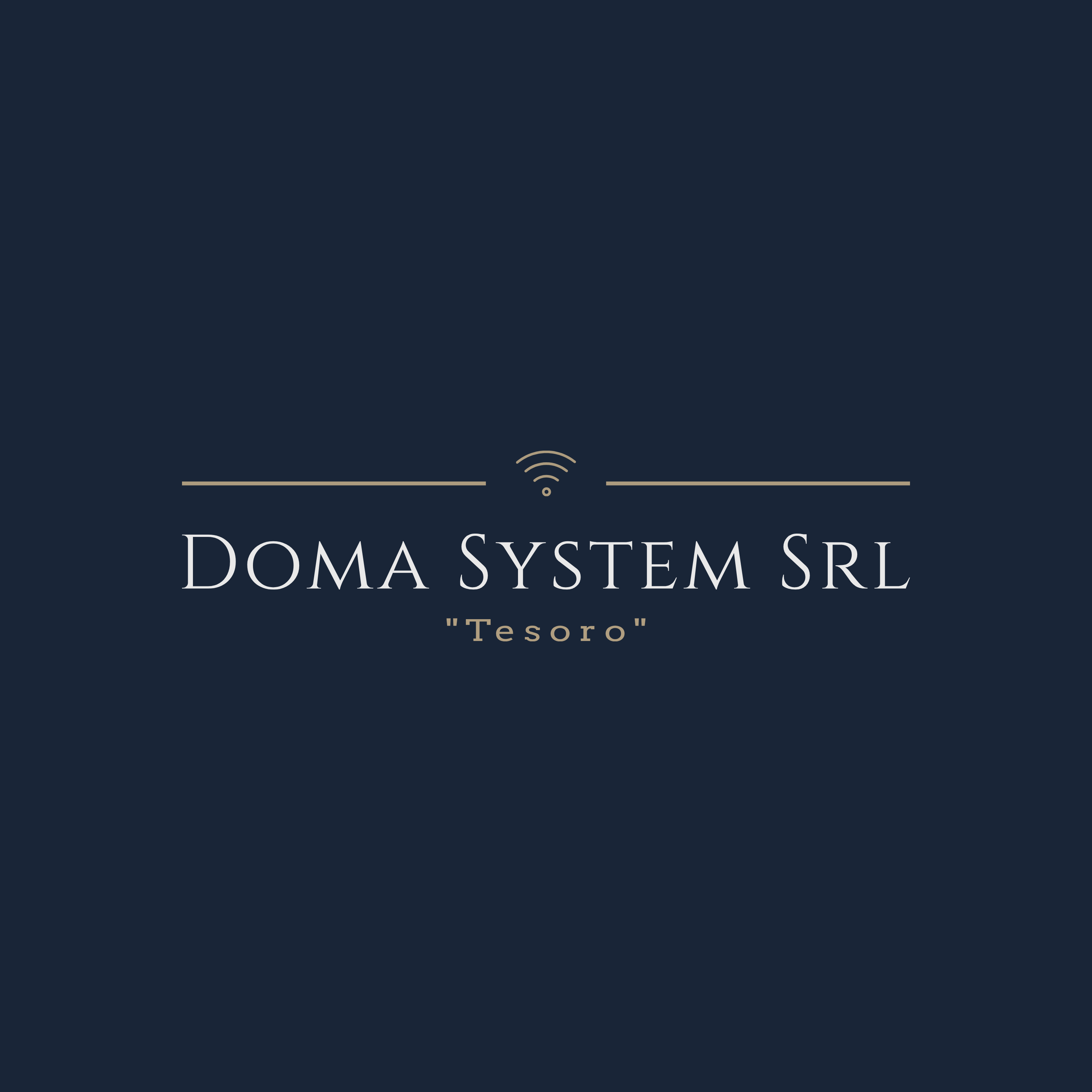 DOMA SYSTEM SRL