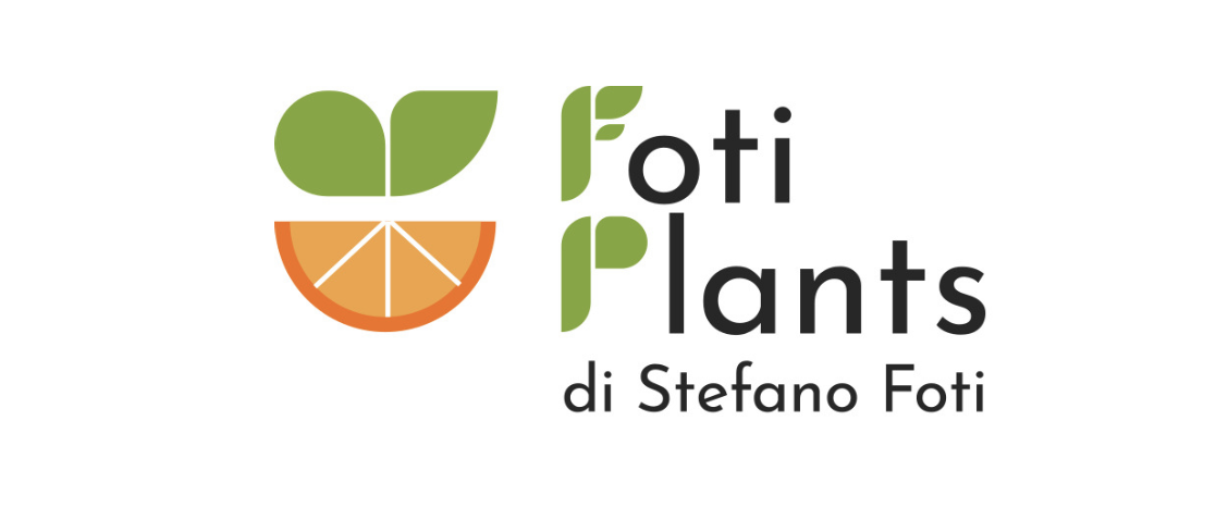 FOTIPLANTS DI STEFANO FOTI