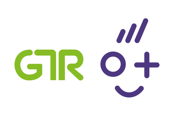 GT REVENUE S.R.L.