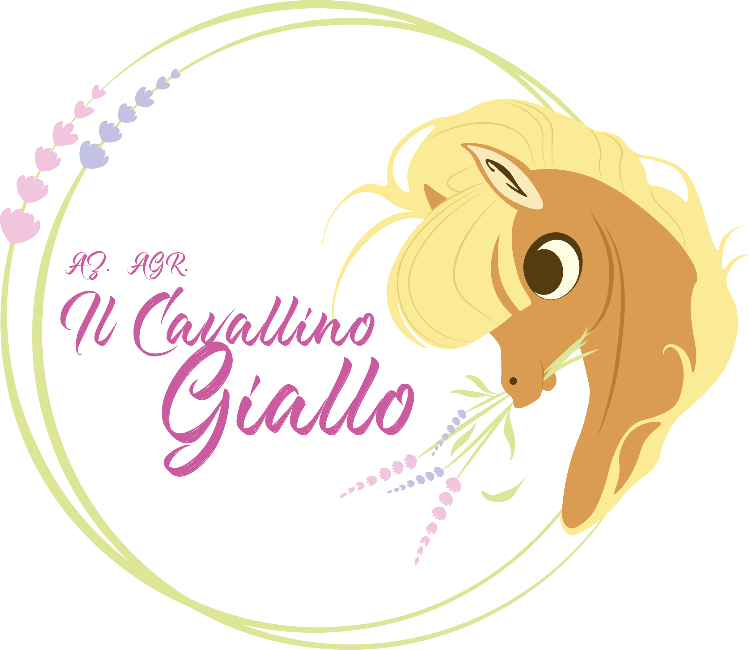 IL CAVALLINO GIALLO DI DECUZZI DEBORA