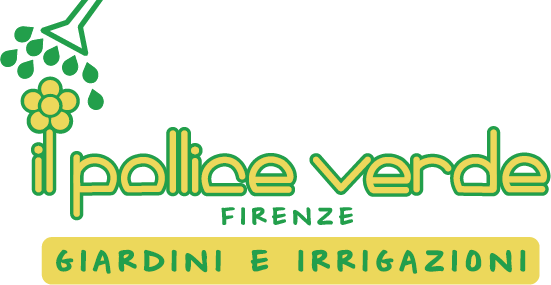 IL POLLICE VERDE di Lorenzo Cecchi & C. S.A.S.