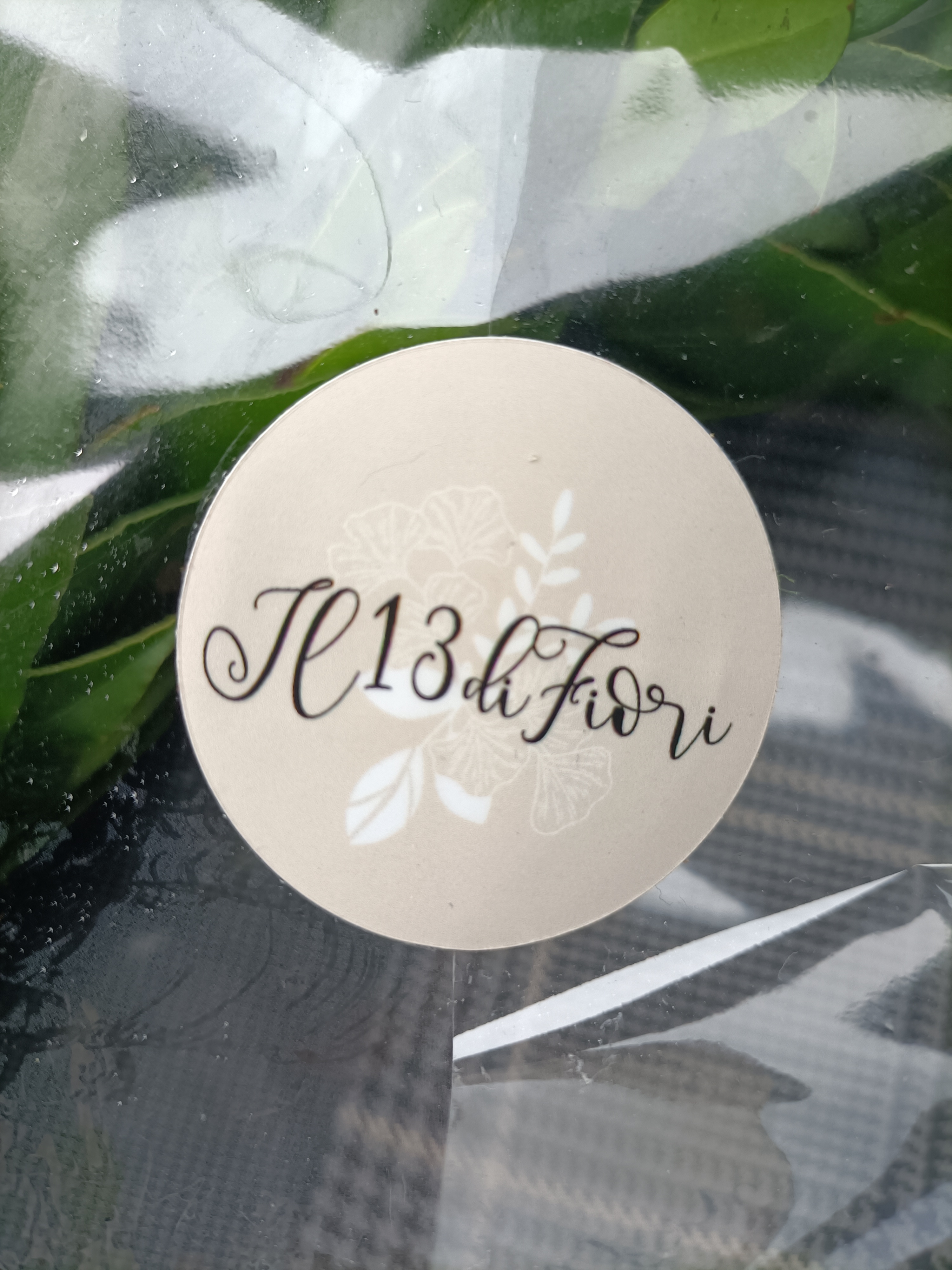 IL 13 DI FIORI DI BRAGA SILVIA E GIOTTI NATASCIA S.N.C.