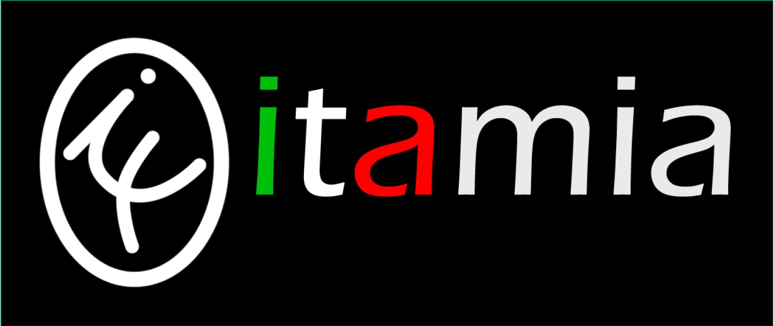 ITAMIA Automotive S.R.L.