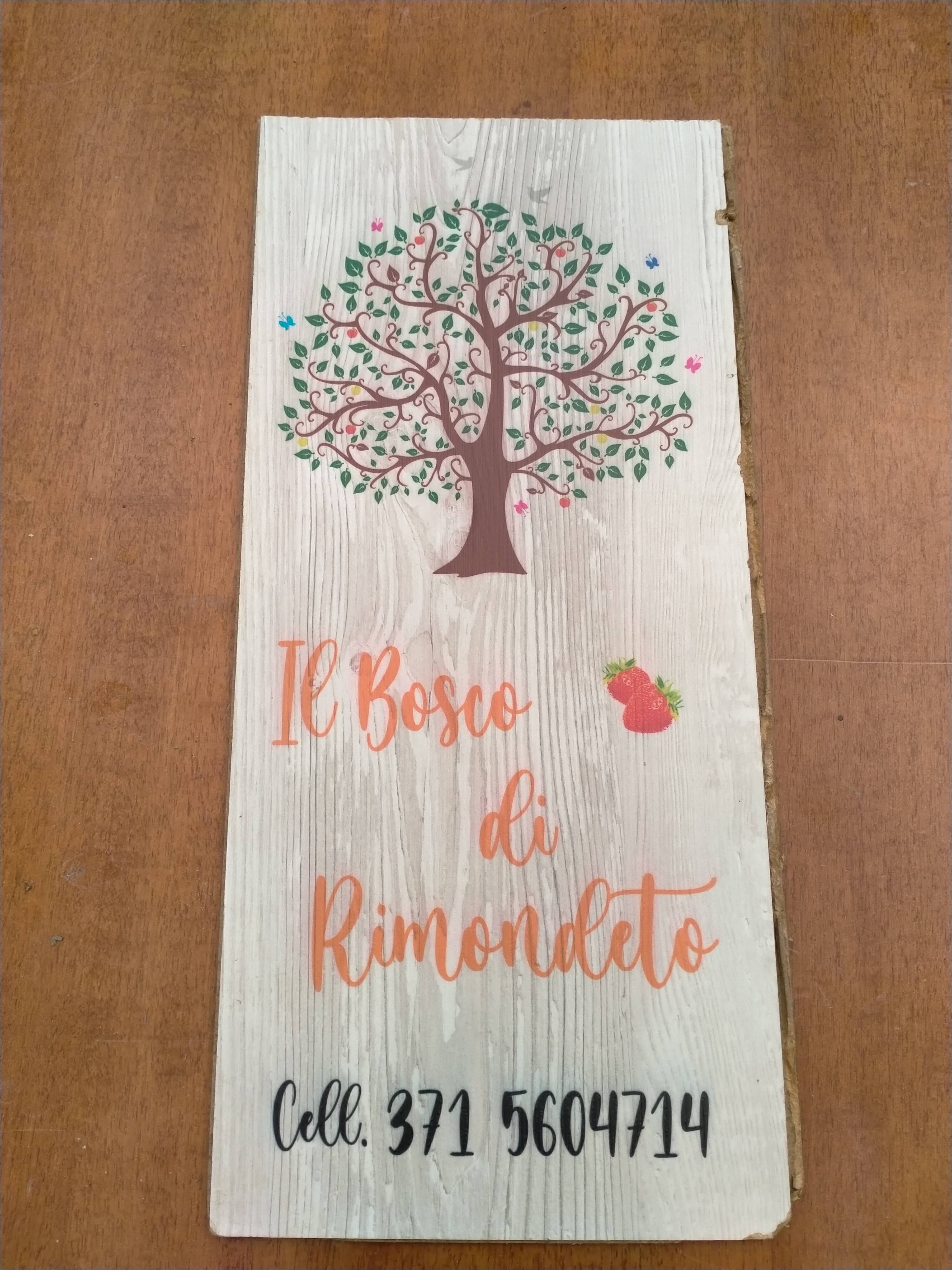 IL BOSCO DI RIMONDETO DI MORENA ALESSANDRO