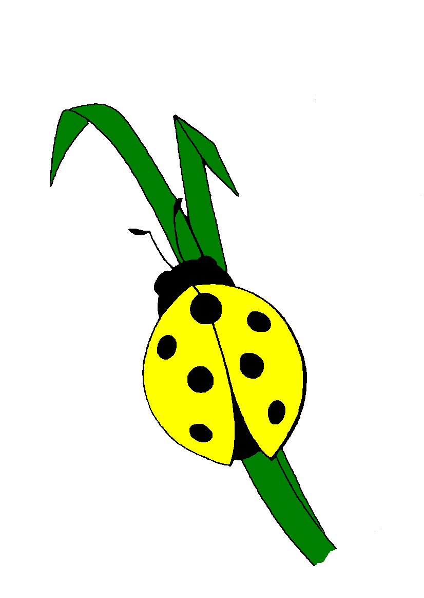 LA COCCINELLA DI BRESCIANINI LUIGI ROBERTO