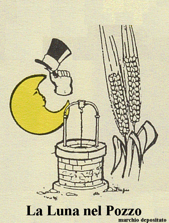 la luna nel pozzo