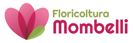 FLORICOLTURA MOMBELLI GIOVANNI