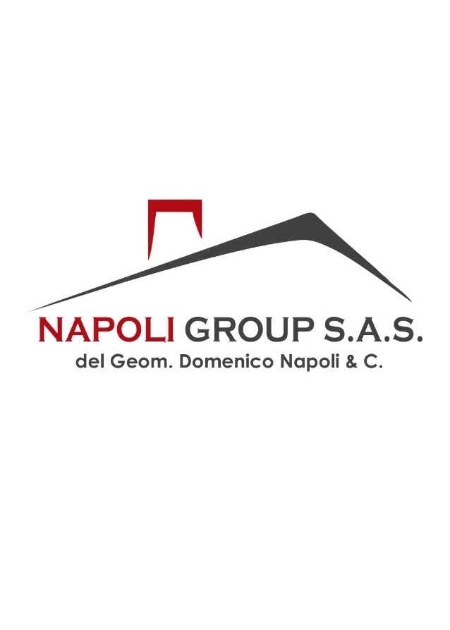 NAPOLI GROUP S.A.S. DEL GEOM. DOMENICO NAPOLI & C.