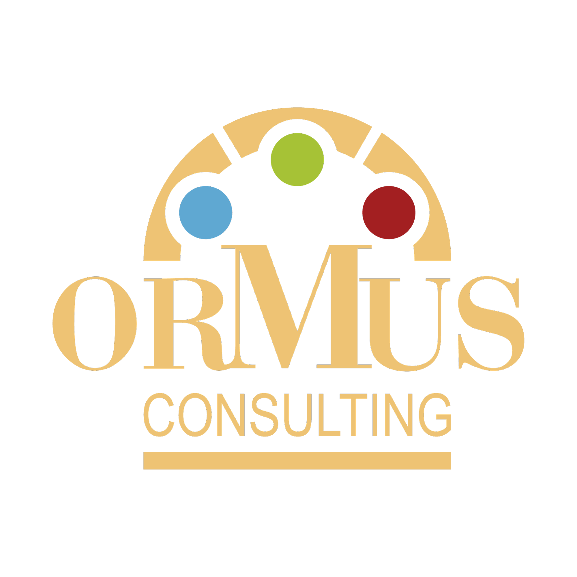 ORMUS CONSULTING S.R.L.