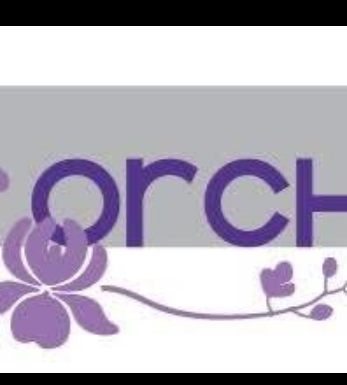 ORCHIDEA SNC DI SILVA TOLOT E SAMANTHA BAVARESCO