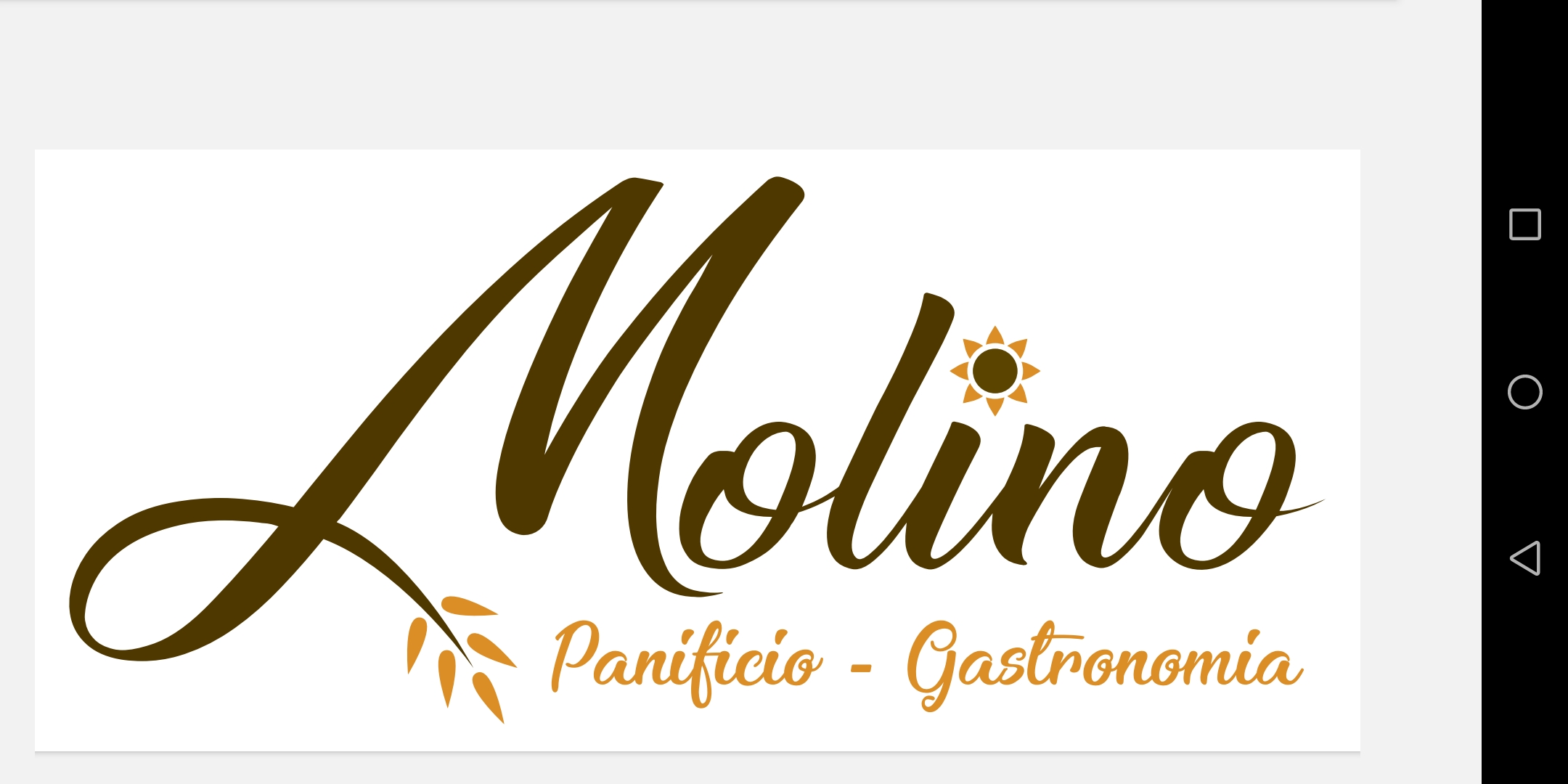 PANIFICIO GASTRONOMIA MOLINO