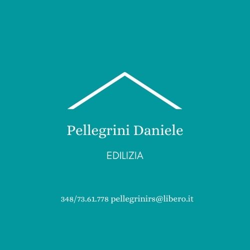 PELLEGRINI DANIELE