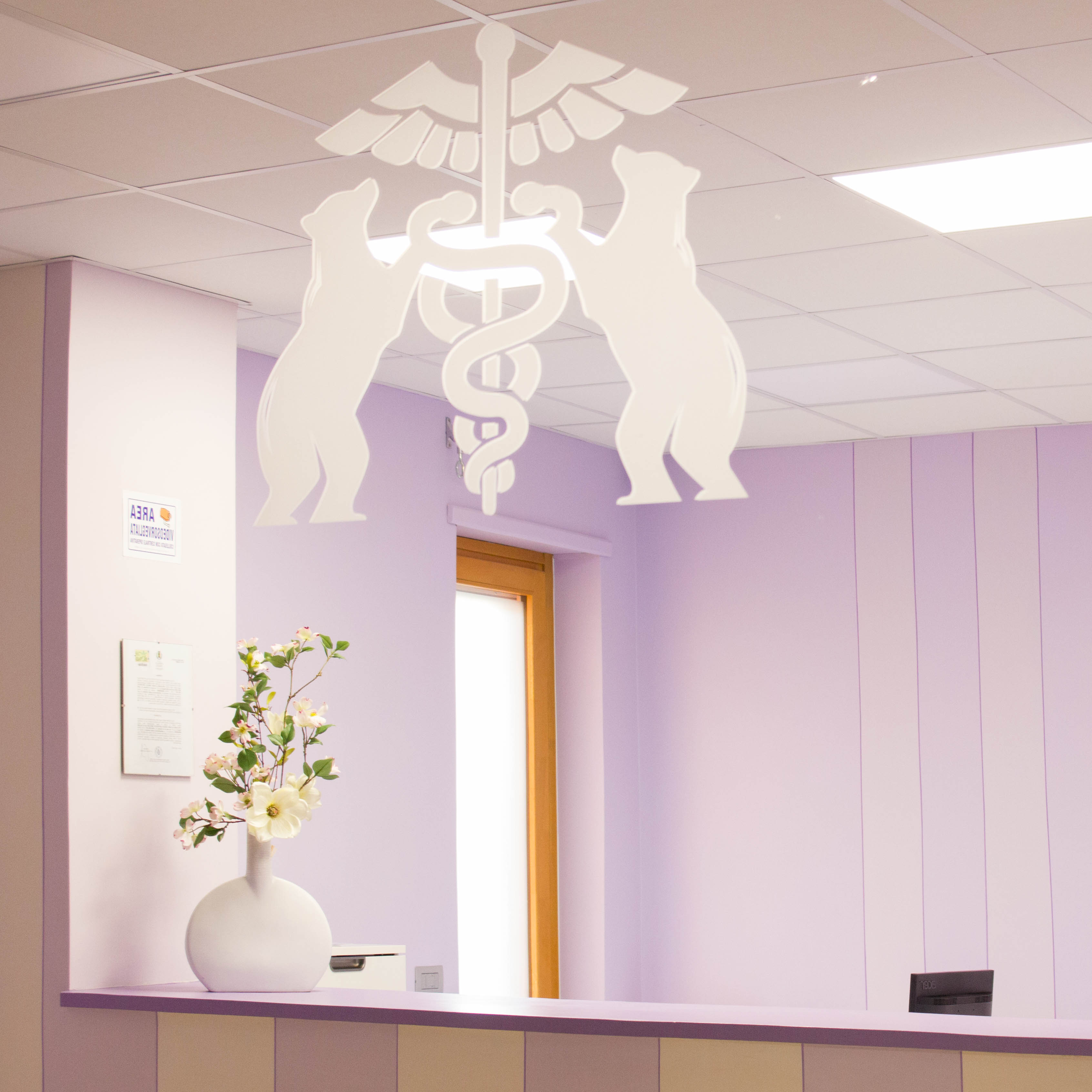 POLIAMBULATORIO MEDICO DENTISTICO BIELLESE S.A.S. DI SALORD MIGUE L A.A. & C