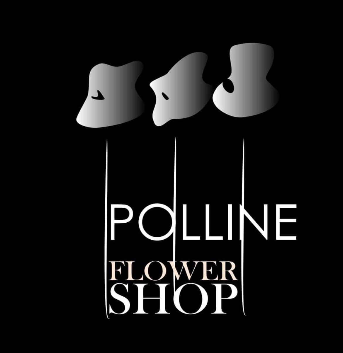 POLLINE DI PENNISI SANTINA