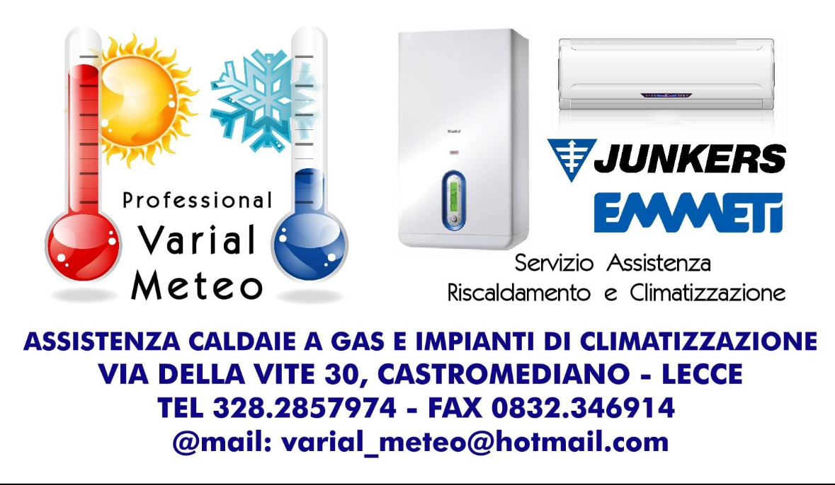 PROFESSIONAL VARIAL METEO DI DE RINALDIS MARCO