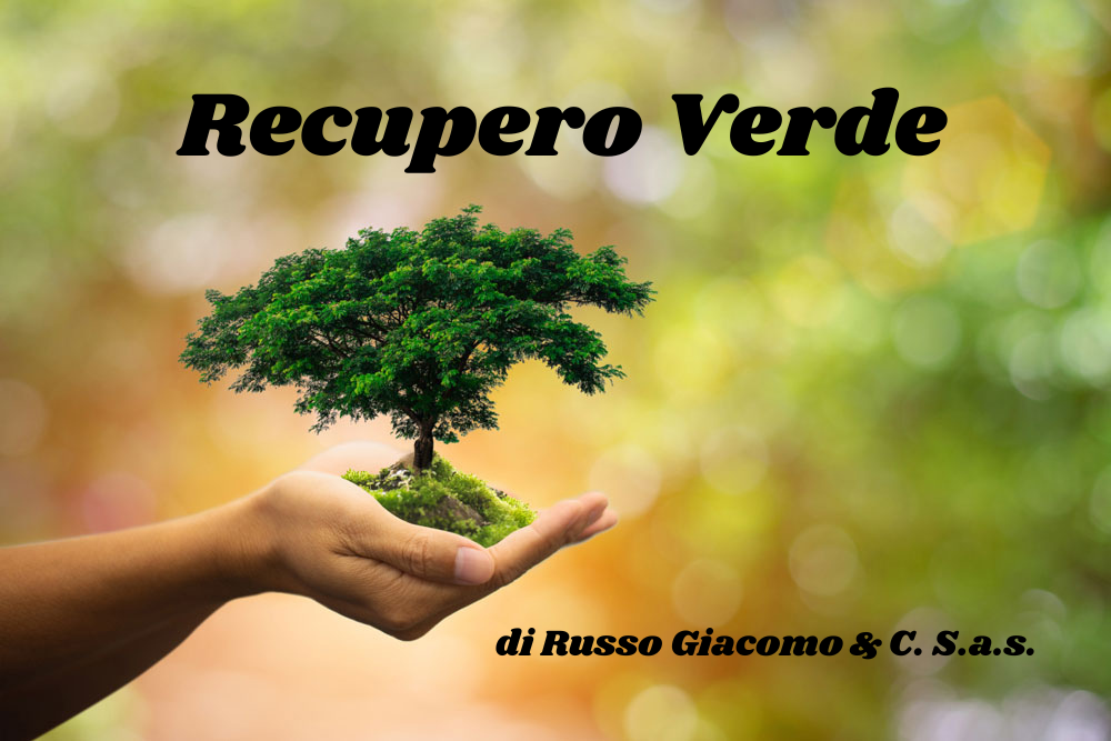 RECUPERO VERDE DI RUSSO GIACOMO & C. S.A.S.