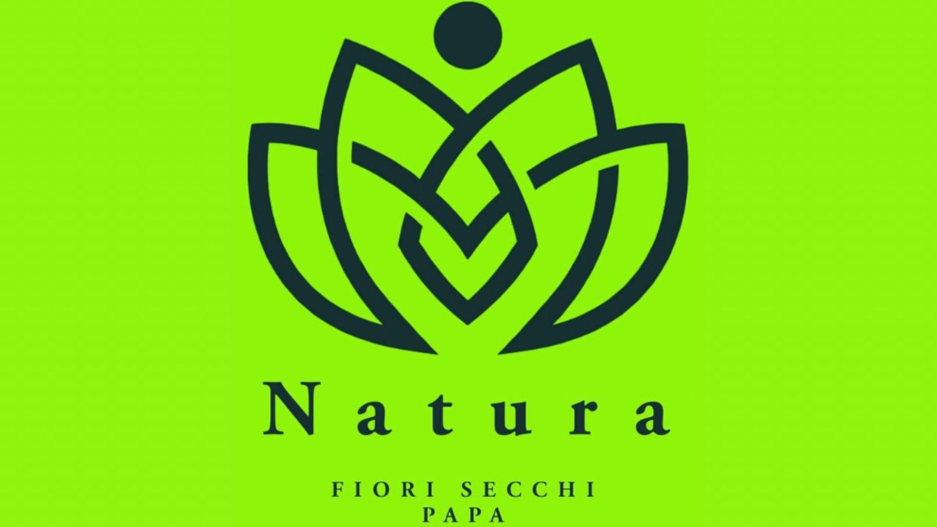 NATURA - FIORI SECCHI PAPA