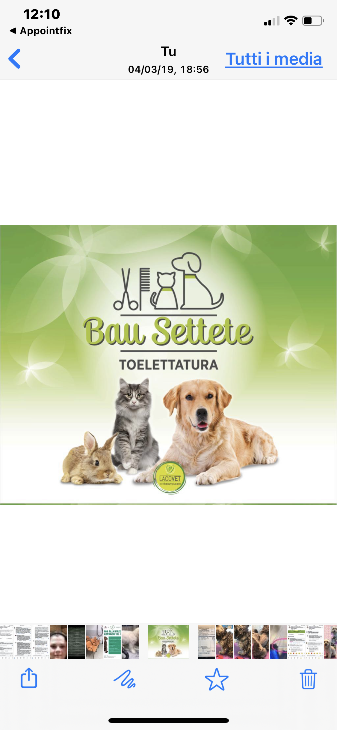TOELETTATURA BAU SETTETE DI DE BENETTI VERENA