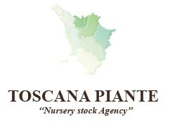 Toscana Piante Agency