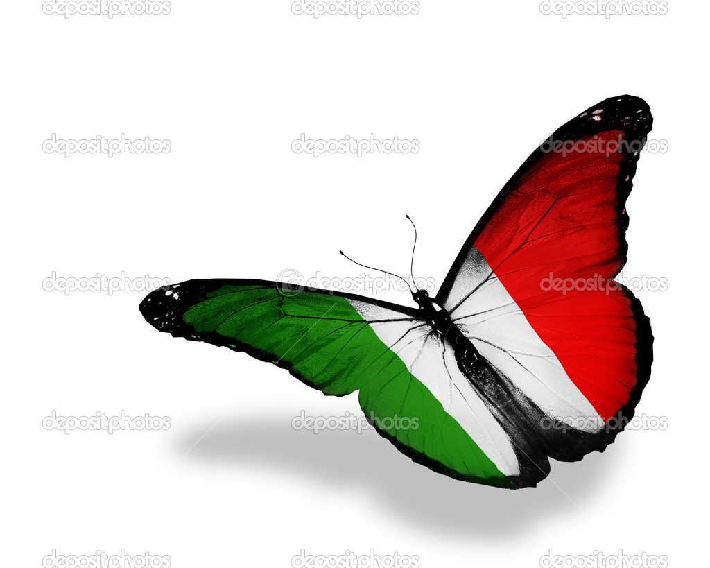 TRICOLORE S.N.C. DI CASINI SIMONE CASINI GIACOMO E BRIGIDI LORENZO